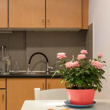 Appartement Agali 2 Superior Mezonet Front Of The Sea *